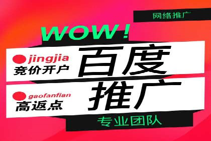 SEM网络推广案例：精准营销助力品牌成长